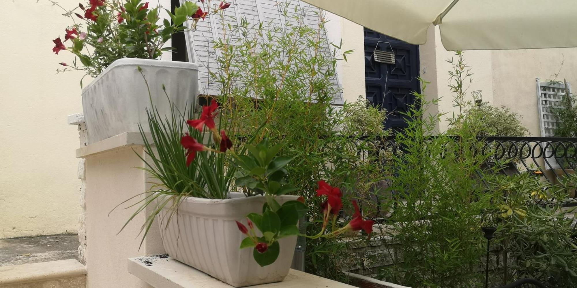 L'Empire D'Essences Appartement Valréas Екстериор снимка
